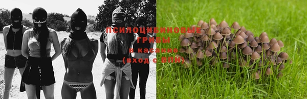 ГАЛЛЮЦИНОГЕННЫЕ ГРИБЫ Армянск