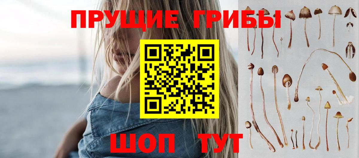 Галлюциногенные грибы Psilocybine cubensis Саров