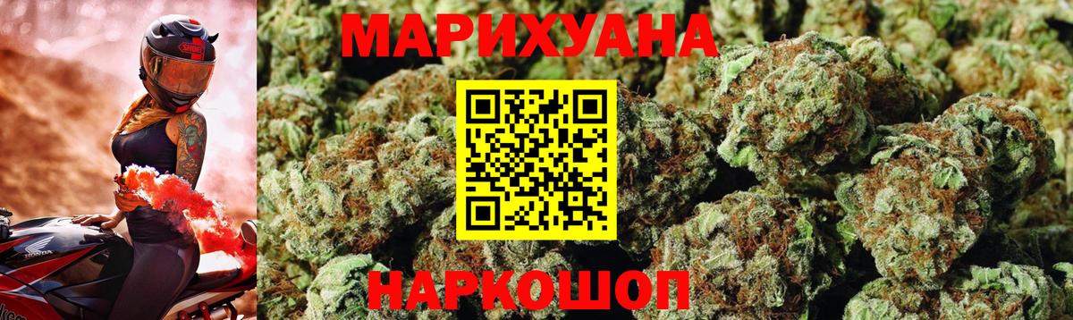 Канабис планчик Саров